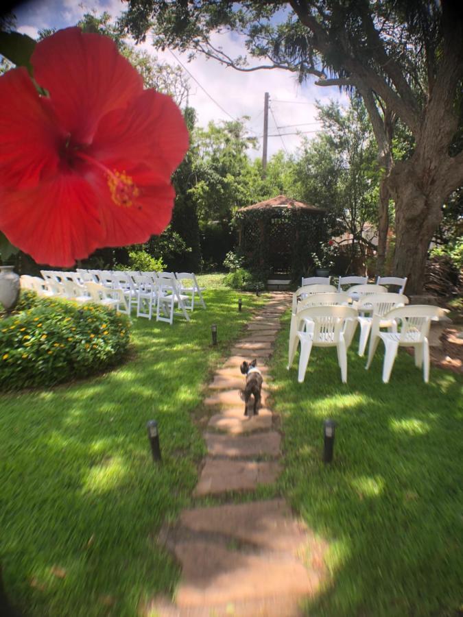Avenue O Bed And Breakfast Galveston Exterior photo